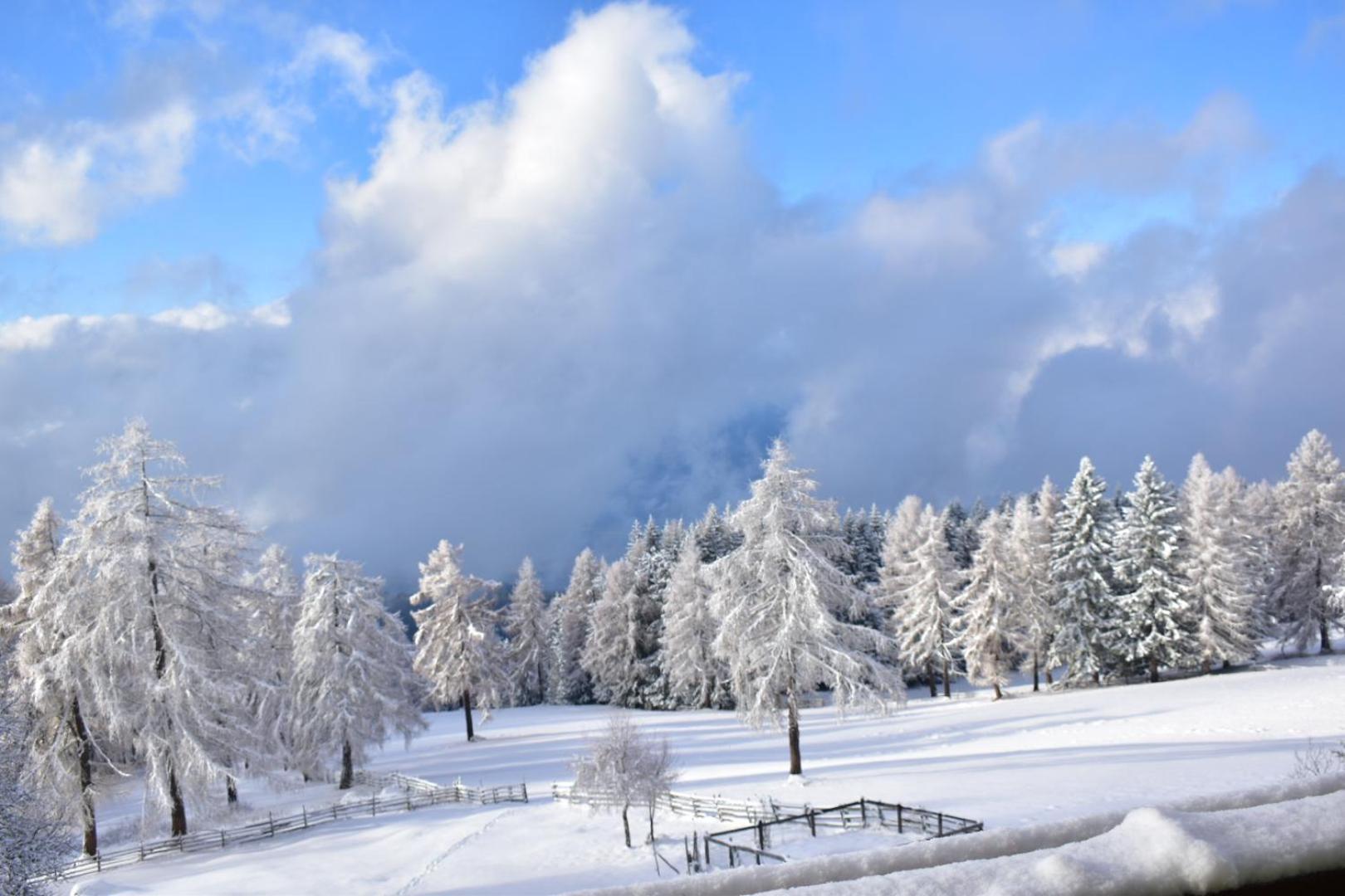 Gasthof Schmiederalm Альдино Экстерьер фото